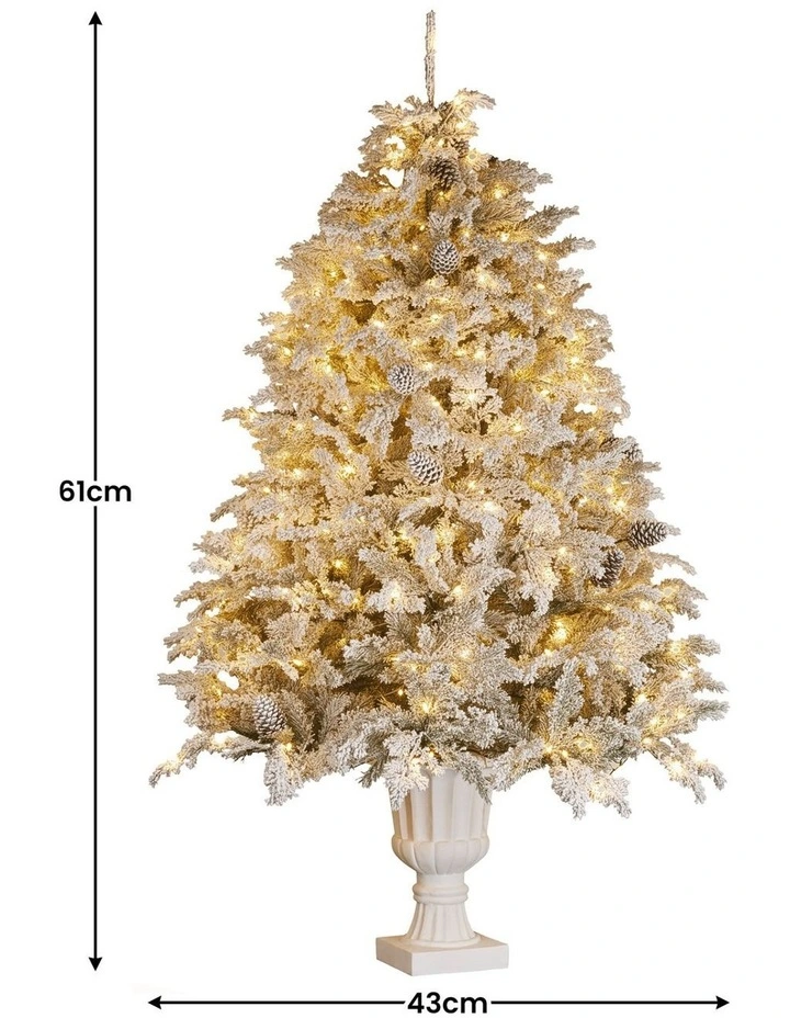 2.3m Christmas Tree Potted Alpine Fir with Pre Lit Multi-Colour LED Lights image 2
