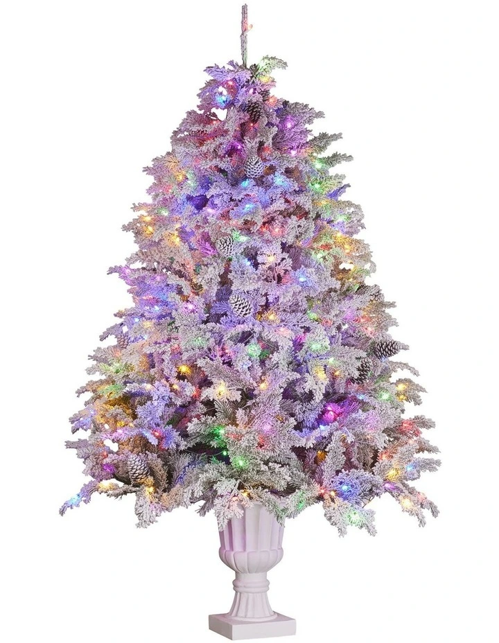 2.3m Christmas Tree Potted Alpine Fir with Pre Lit Multi-Colour LED Lights image 3