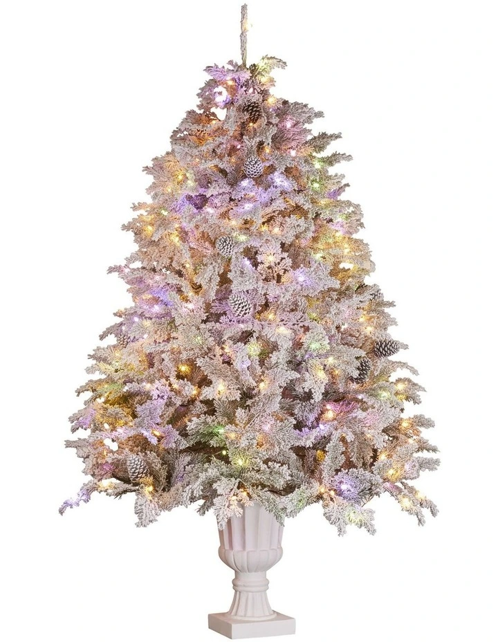 2.3m Christmas Tree Potted Alpine Fir with Pre Lit Multi-Colour LED Lights image 4