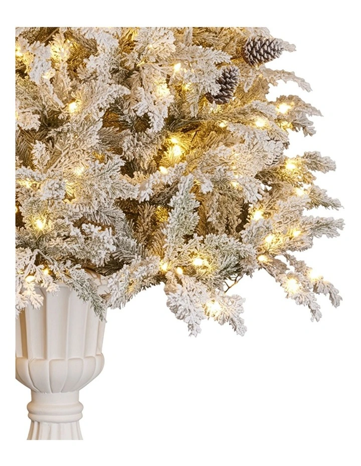 2.3m Christmas Tree Potted Alpine Fir with Pre Lit Multi-Colour LED Lights image 6