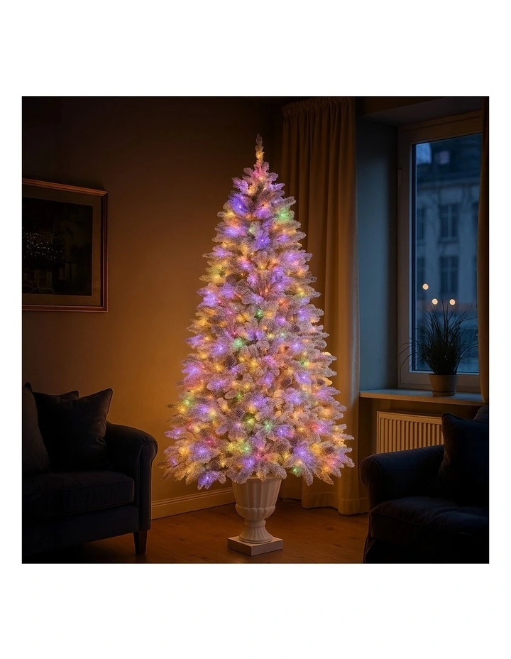 2.3m Christmas Tree Potted Alpine Fir with Pre Lit Multi-Colour LED Lights image 7