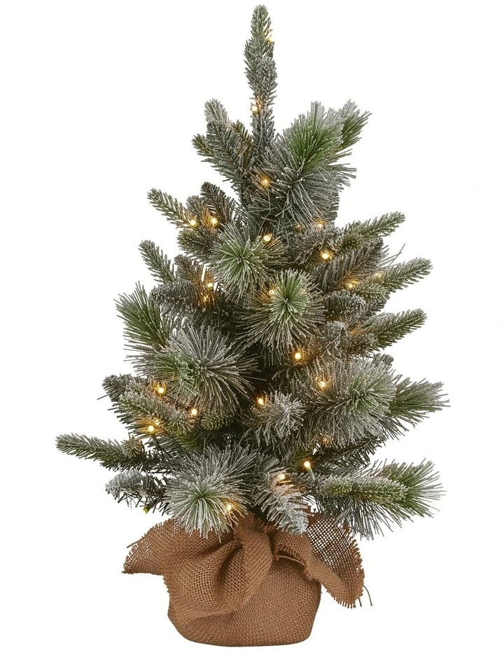 Christabelle 61cm Pre-Lit Snowy Stamford Spruce Battery-Operated Mini Christmas Tree image 1