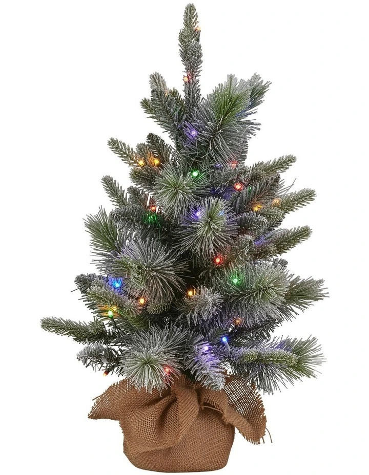 Christabelle 61cm Pre-Lit Snowy Stamford Spruce Battery-Operated Mini Christmas Tree image 2