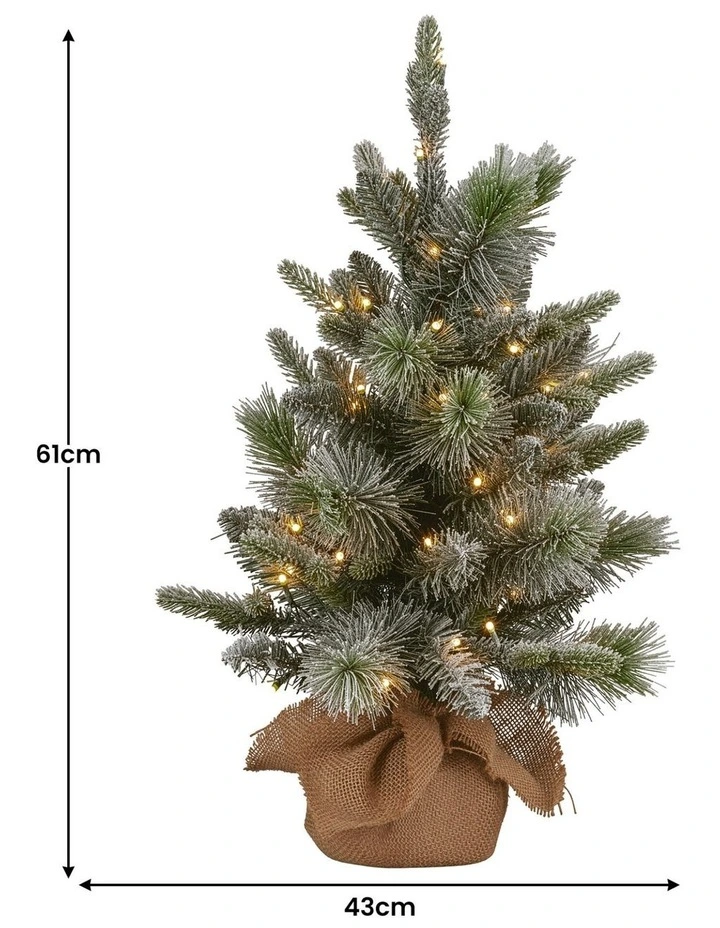 Christabelle 61cm Pre-Lit Snowy Stamford Spruce Battery-Operated Mini Christmas Tree image 3