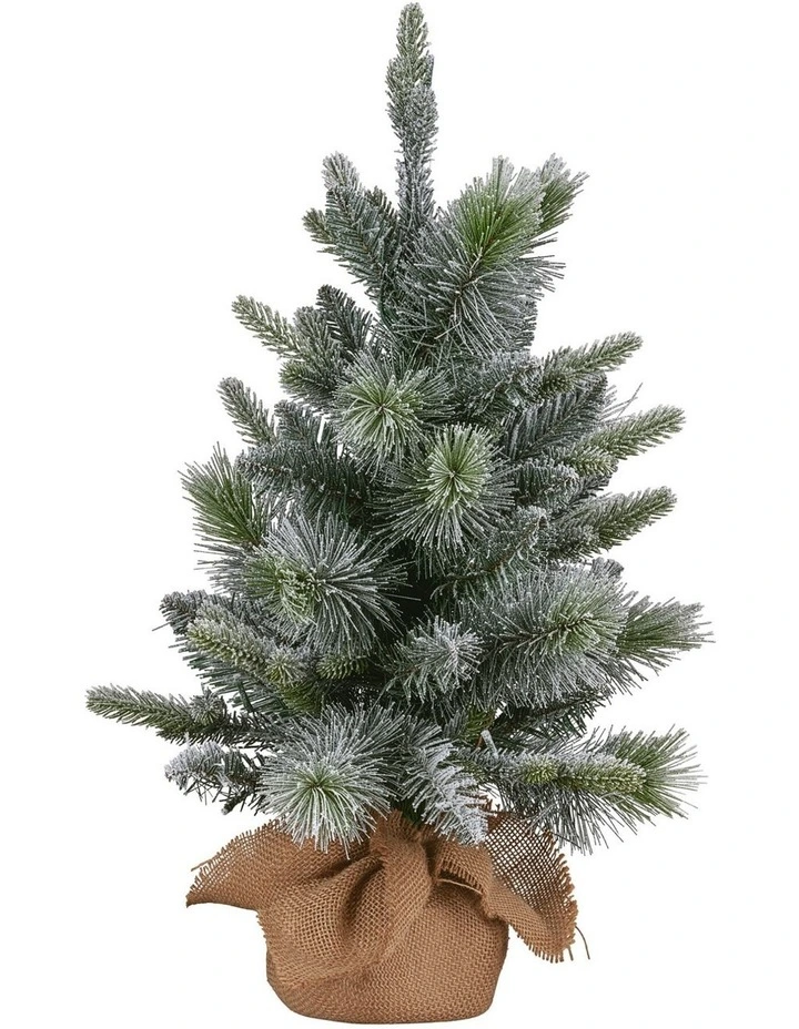 Christabelle 61cm Pre-Lit Snowy Stamford Spruce Battery-Operated Mini Christmas Tree image 4