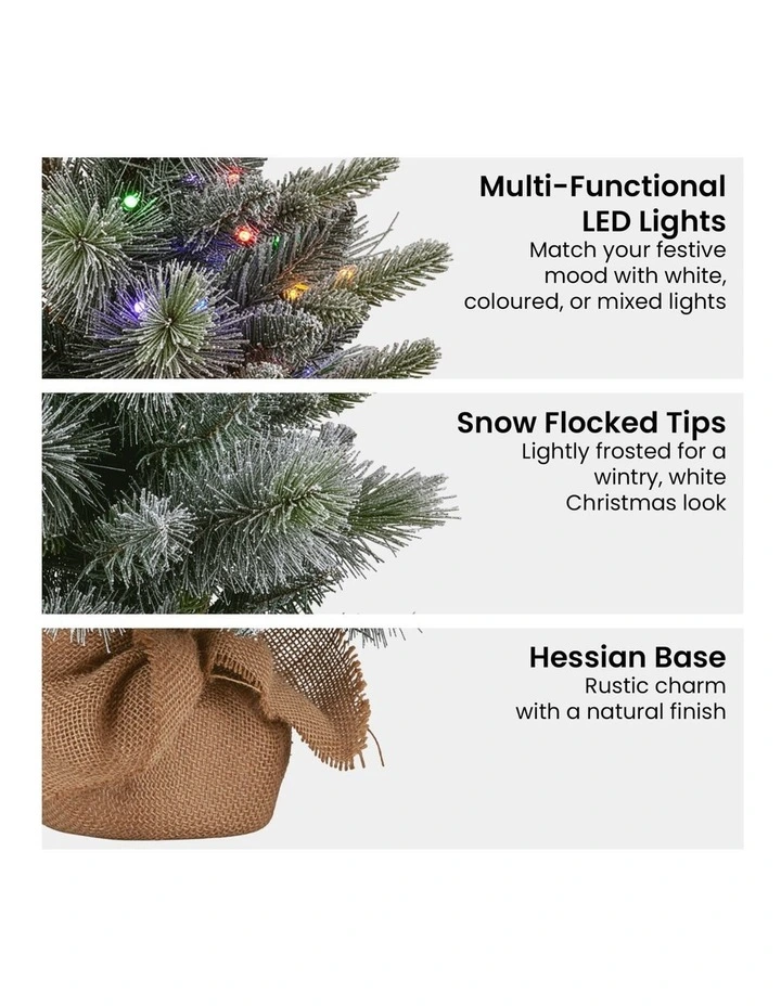 Christabelle 61cm Pre-Lit Snowy Stamford Spruce Battery-Operated Mini Christmas Tree image 5