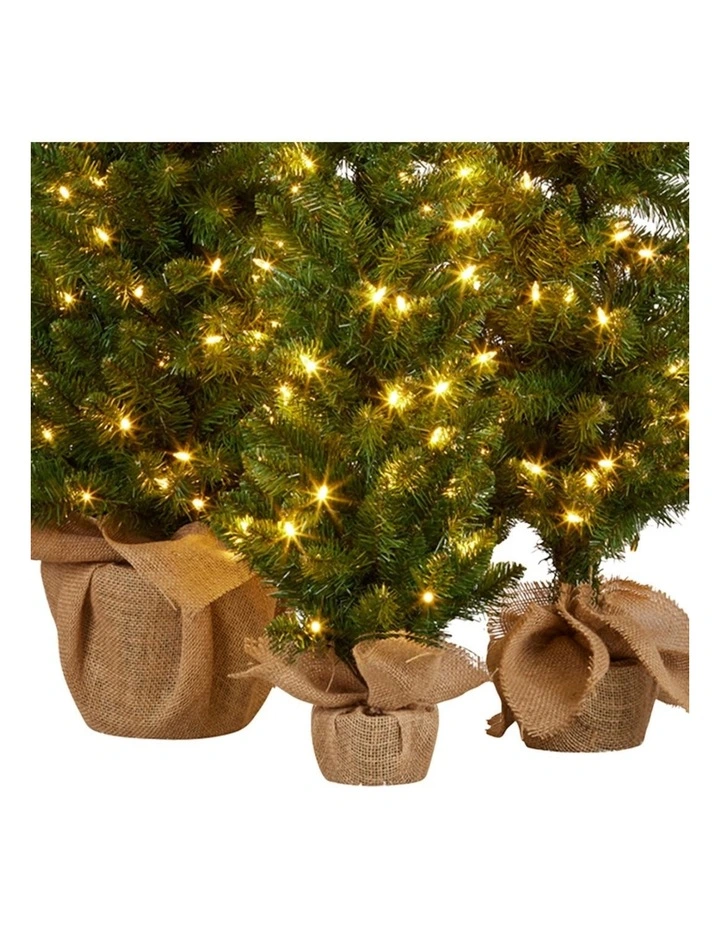 Christabelle Set of 3 Pre-Lit Christmas Trees Green Pine LED Lights Hessian Base Individual Plugs image 4