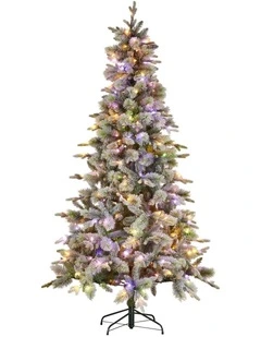 Christabelle Snowy Stamford Spruce 7.5ft Christmas Tree Multi Functional White Coloured LED Lights
