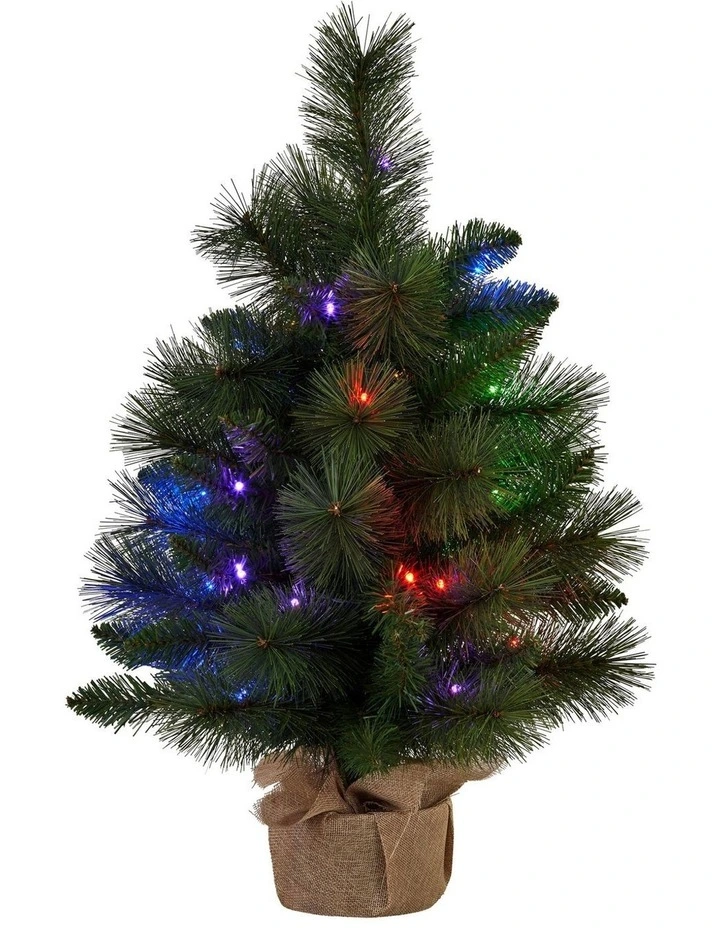Christabelle 61cm Battery-Operated Christmas Tree with Multi-Function Lights - Dorset Pine image 1