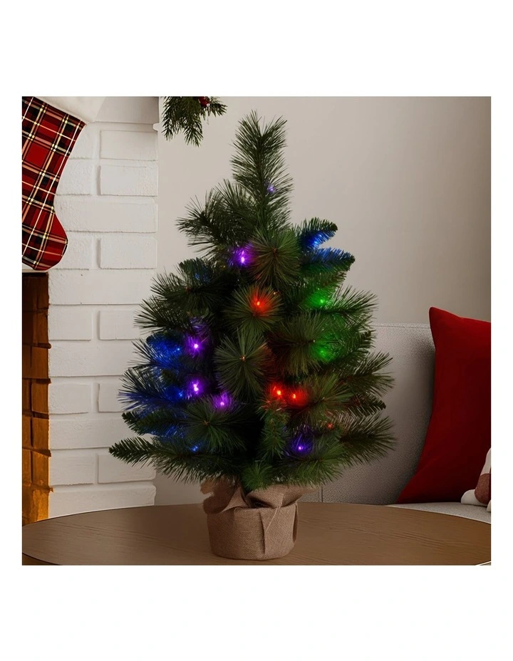 Christabelle 61cm Battery-Operated Christmas Tree with Multi-Function Lights - Dorset Pine image 6