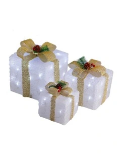 LED Acrylic Gift Box Set - Champagne- Plug In - 3 pcs in a set