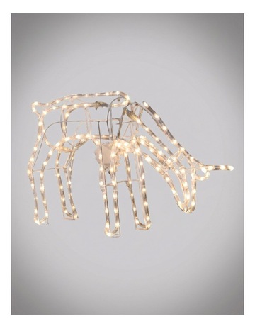 Ivory colour