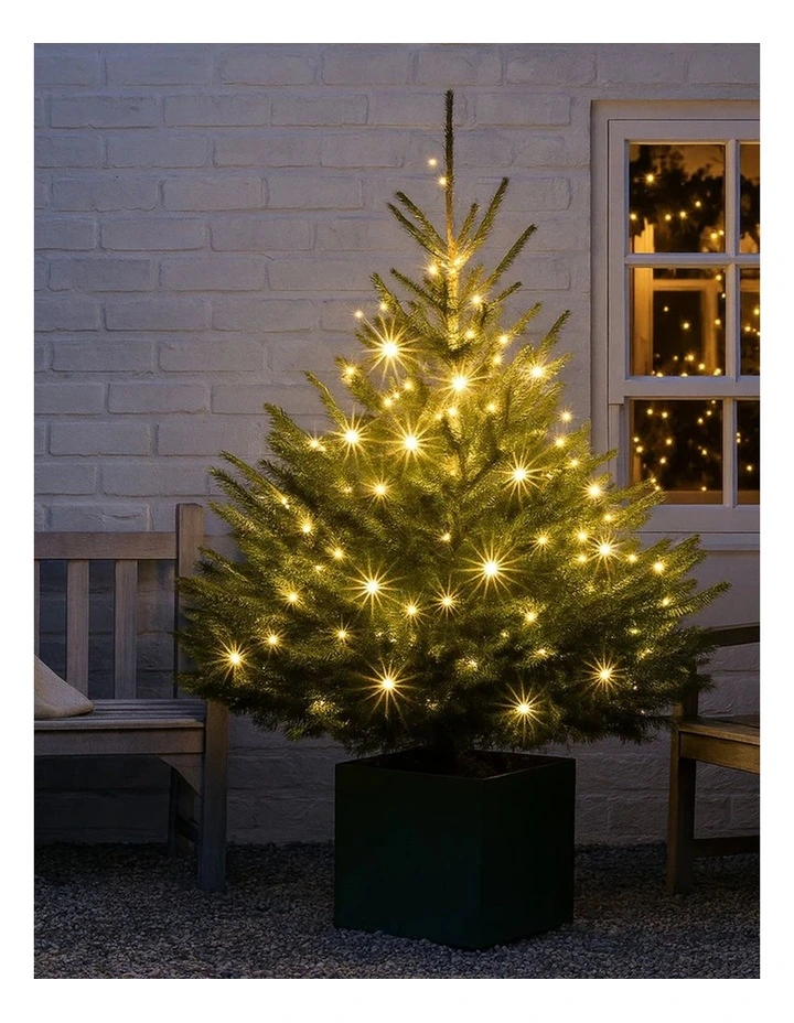 240 LED Fairy Light Chain Clear Cable - Warm White image 5