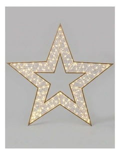 2D 1.2M Mesh Star With Twinkle LED - Warm White