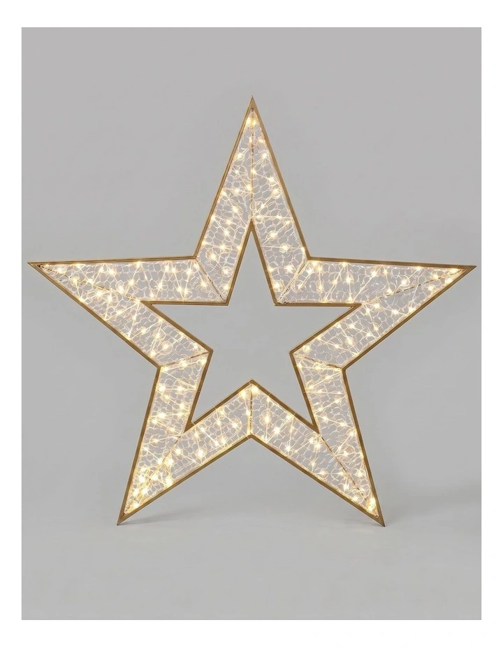 2D 1.2M Mesh Star With Twinkle LED - Warm White image 1