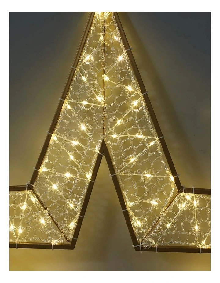 2D 1.2M Mesh Star With Twinkle LED - Warm White image 3