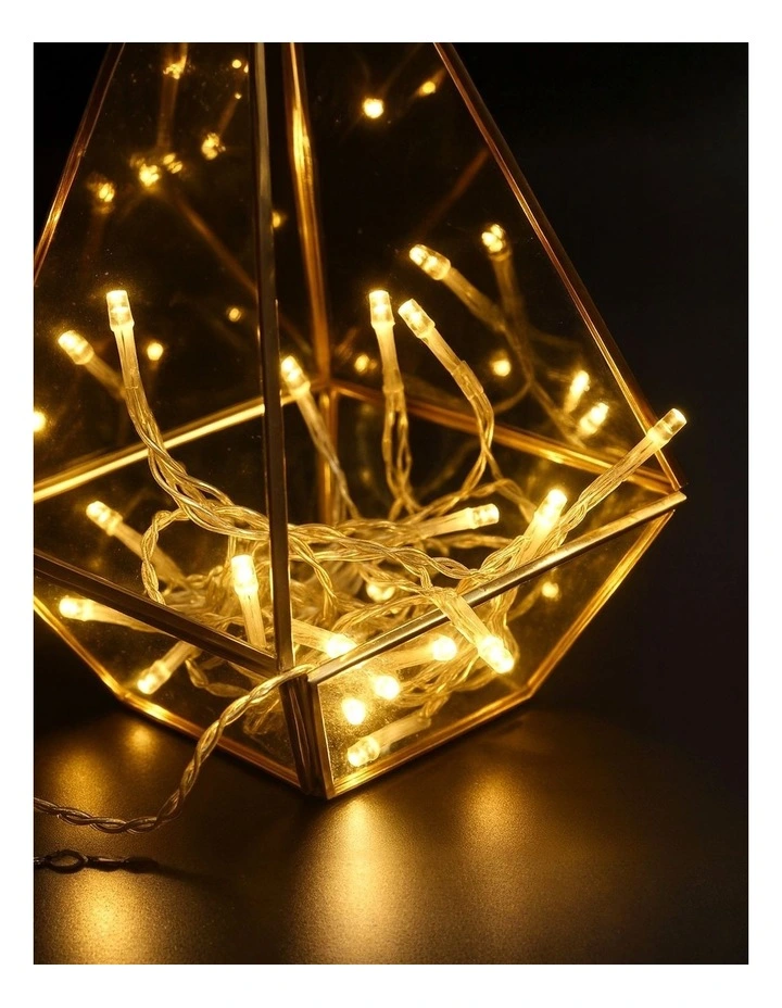 Battery Operated 50 LED String Light Clear Cable Warmwhite image 3