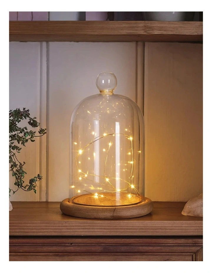 Battery Operated 40 Micro LED String Lights with Timer - Warm White image 2