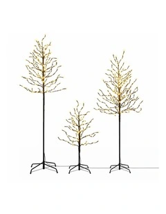 Jingle Jollys 3 Pack LED Christmas Tree Lighted Birch Tree Indoor Outdoor Xmas Decor Warm White