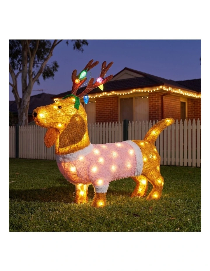 Christabelle 73cm Dachshund Dog Christmas Light Up Display Pine Cone Lights Outdoor Indoor Decor image 6
