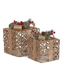 Christabelle 2 Pale 35cm 28cm Champagne Christmas Gift Boxes Light Up Display Indoor Xmas Decor