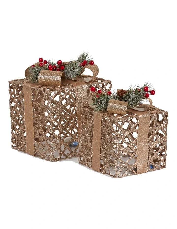 Christabelle 2 Pale 35cm 28cm Champagne Christmas Gift Boxes Light Up Display Indoor Xmas Decor image 1