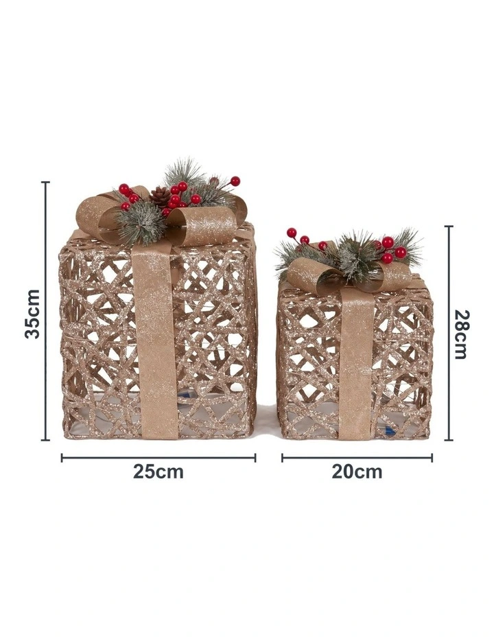 Christabelle 2 Pale 35cm 28cm Champagne Christmas Gift Boxes Light Up Display Indoor Xmas Decor image 3