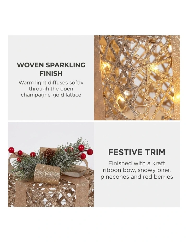 Christabelle 2 Pale 35cm 28cm Champagne Christmas Gift Boxes Light Up Display Indoor Xmas Decor image 4