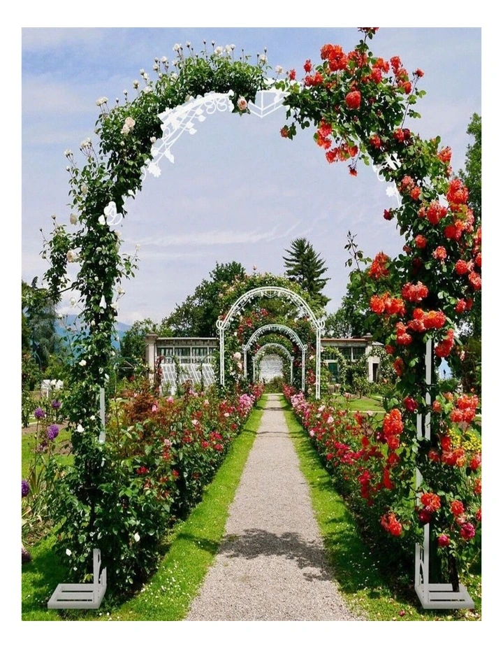 Wedding Arch Garden Arbor Curved Metal Durable Iron Plants Trellis Lattice Stand image 3
