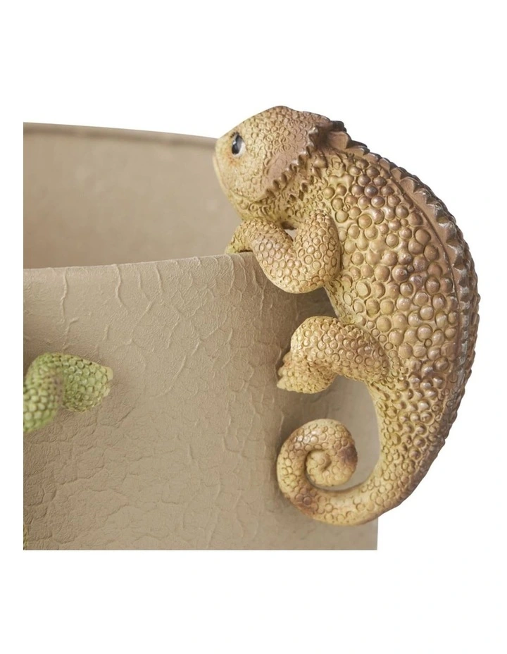 Willow & Silk Set/3 Asst Chameleon Pot Hangers image 3