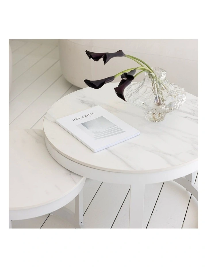 Hugo Outdoor Round Ceramic and Aluminium Coffee Table Set in White image 2