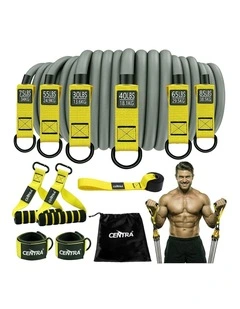 Centra 12 Pcs Resistance Bands Set Heavy Duty Workout Bands Strength Training