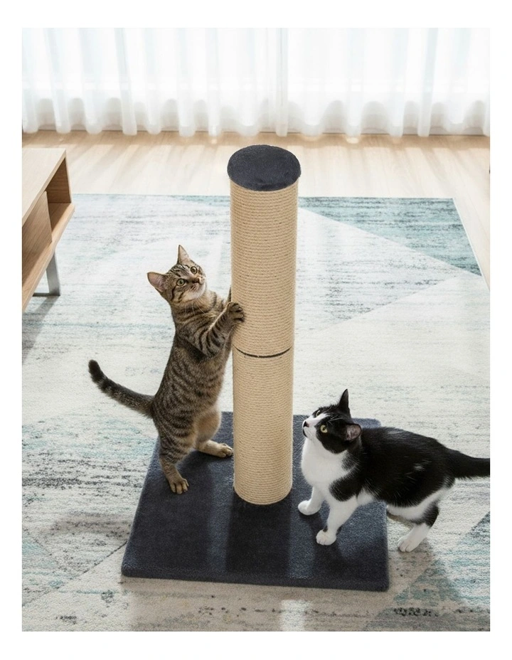 Pawz Cat Scratcher Natural Sisal Kitten Higher Stable Base 74cm image 7