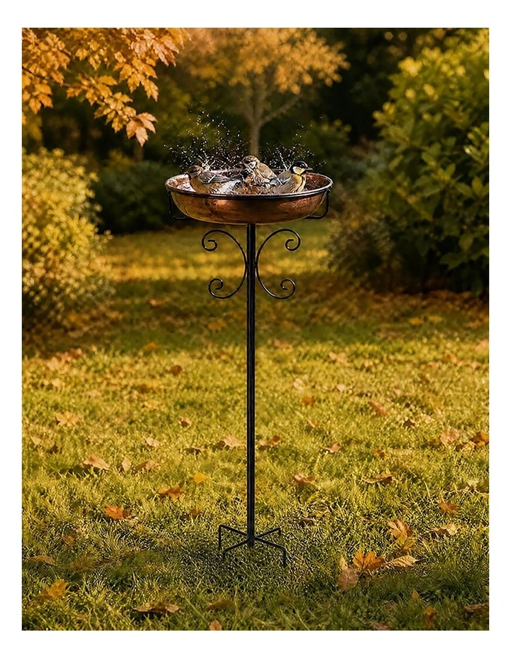 Toque Bird Bath Feeder Outdoor Garden Freestanding Metal Weather Resistant 100cm image 7