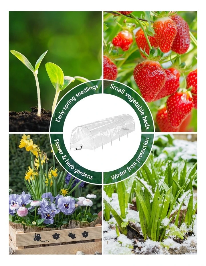 Green Fingers Mini Greenhouse 300x45x30cm Tunnel Clear PVC Steel Frame Portable image 7