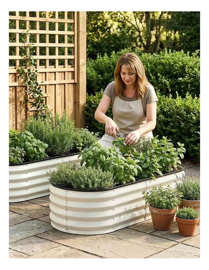 Green Fingers Raised Garden Bed 2 Pack Galvanised Planter Box Rust Resistant 120x60x30cm White image 6