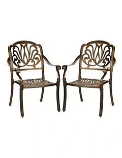 Livsip Outdoor Dining Chairs Cast Aluminium Patio Garden Furniture Set of 2