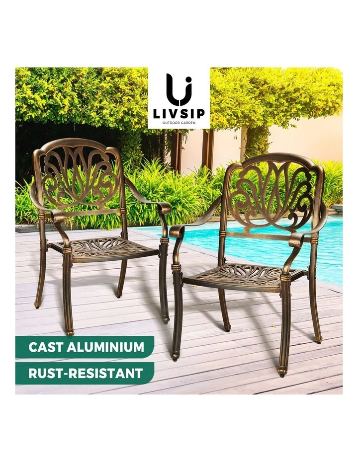 Livsip Outdoor Dining Chairs Cast Aluminium Patio Garden Furniture Set of 2 image 4