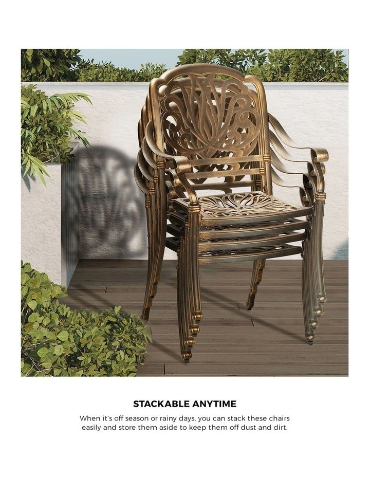 Livsip Outdoor Dining Chairs Cast Aluminium Patio Garden Furniture Set of 2 image 7