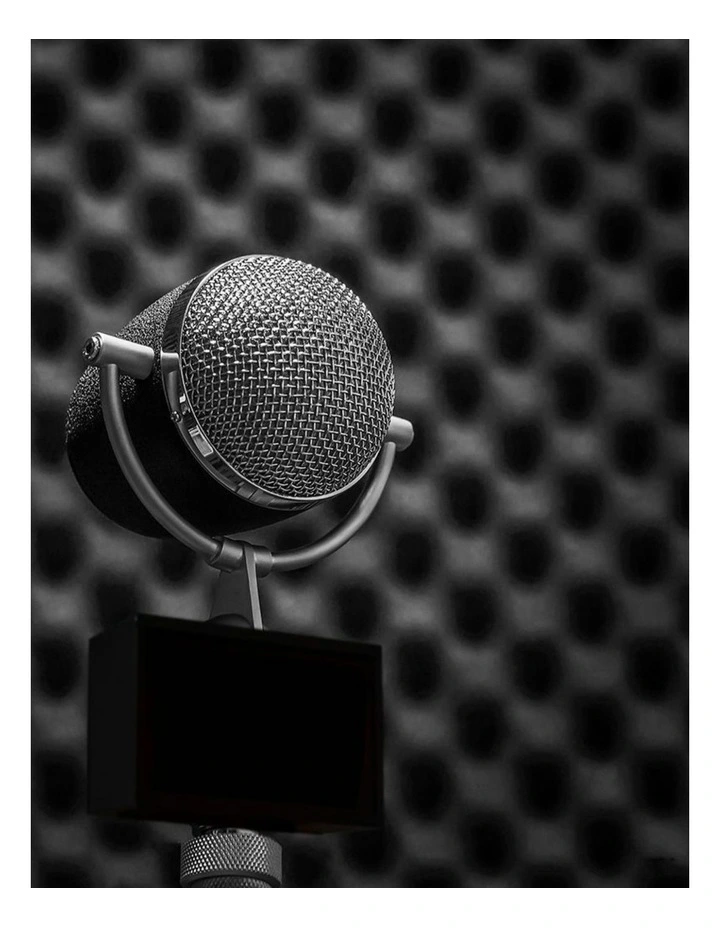 Traderight Group  14Pcs Acoustic Wall Panels Sound Absorbtion Foam Noise Wedge Tile Studio 50x50CM image 7