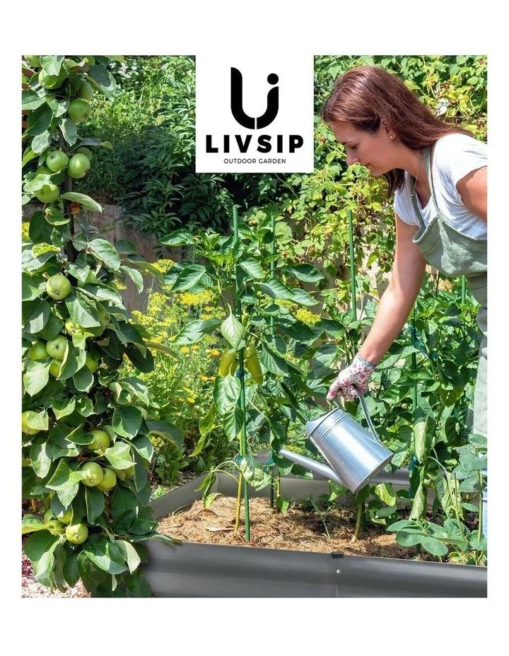 Livsip 2pc Garden Bed 120x80x45CM Raised Vegetable Planter Kit Galvanised Steel image 7