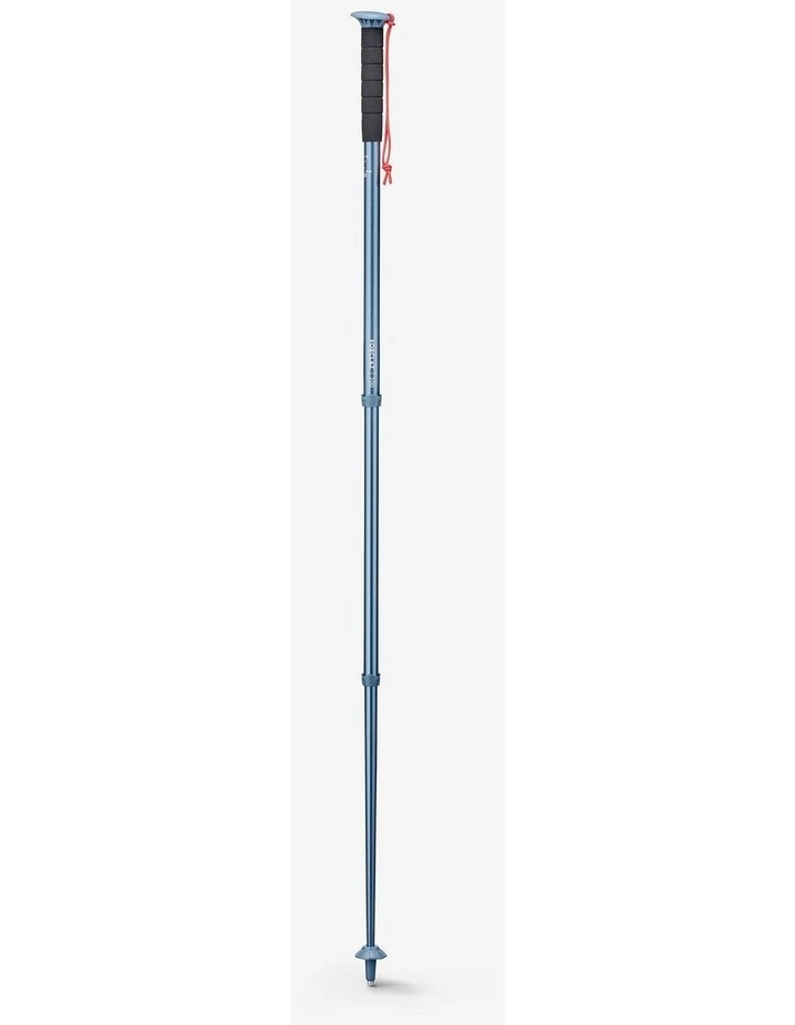 Decathlon - Hiking Pole - MT100 blue image 5