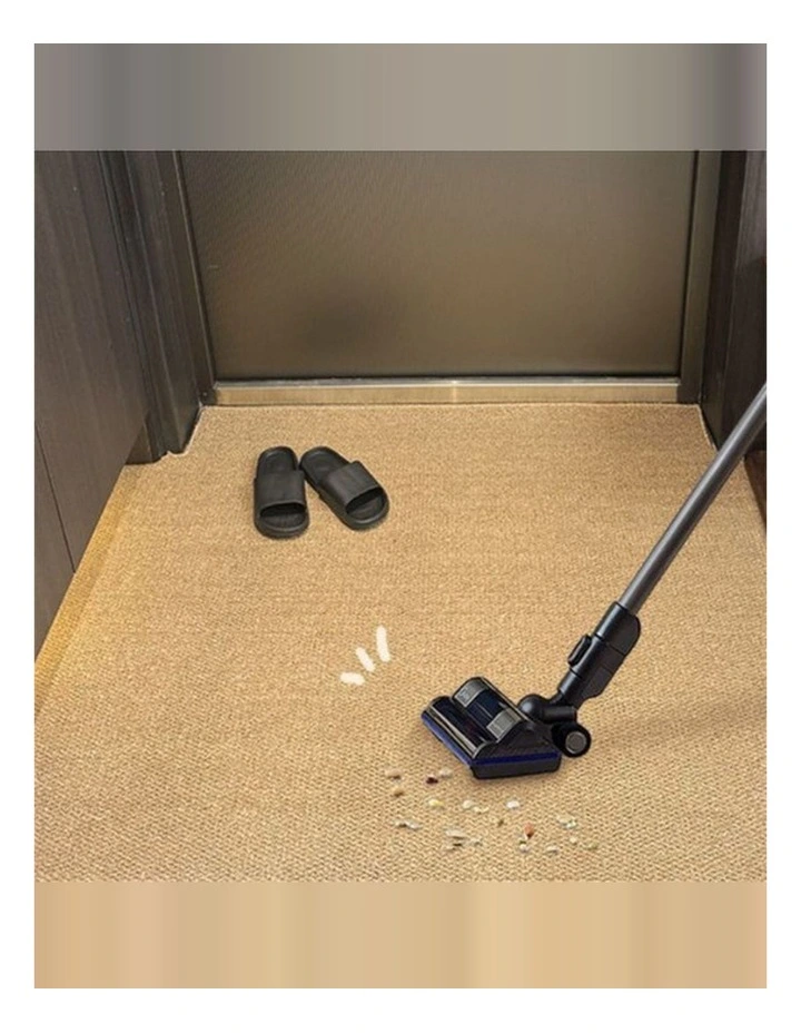 Ordinary Entrance Door Carpet 120x80cm Sole Cleaning Mat Sand Dust Removal Washable Indoor Outdoor image 2