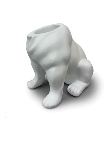 Matte White colour