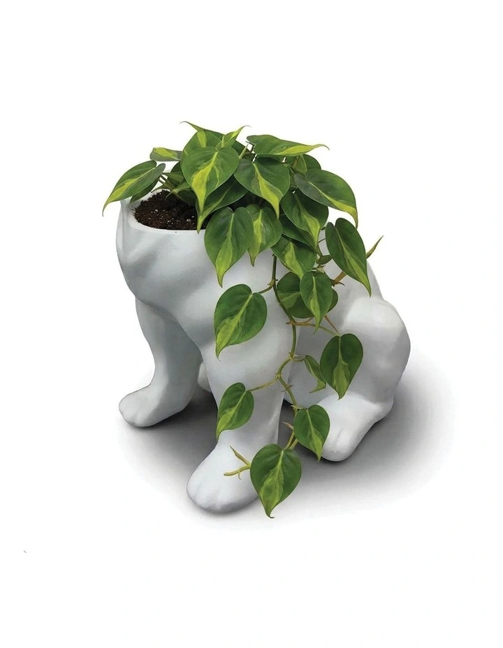 Urban Attitude Maggie Bulldog Planter - Matte White image 4