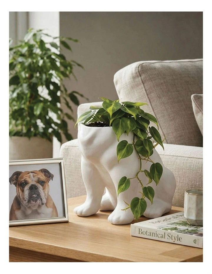 Urban Attitude Maggie Bulldog Planter - Matte White image 5