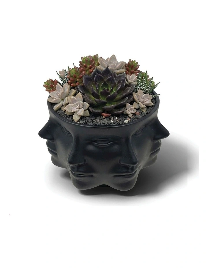 Urban Attitude Face Planter - Matte Black image 5