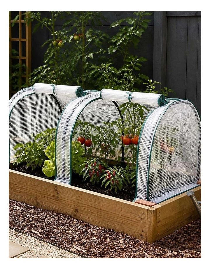 Lambu Mini Greenhouse Dual Zone PE Cover Tunnel Frame for Garden Transparent image 6
