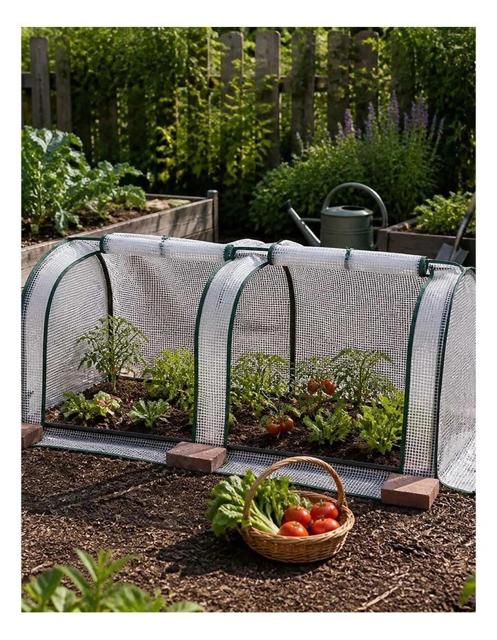 Lambu Mini Greenhouse Dual Zone PE Cover Tunnel Frame for Garden Transparent image 7