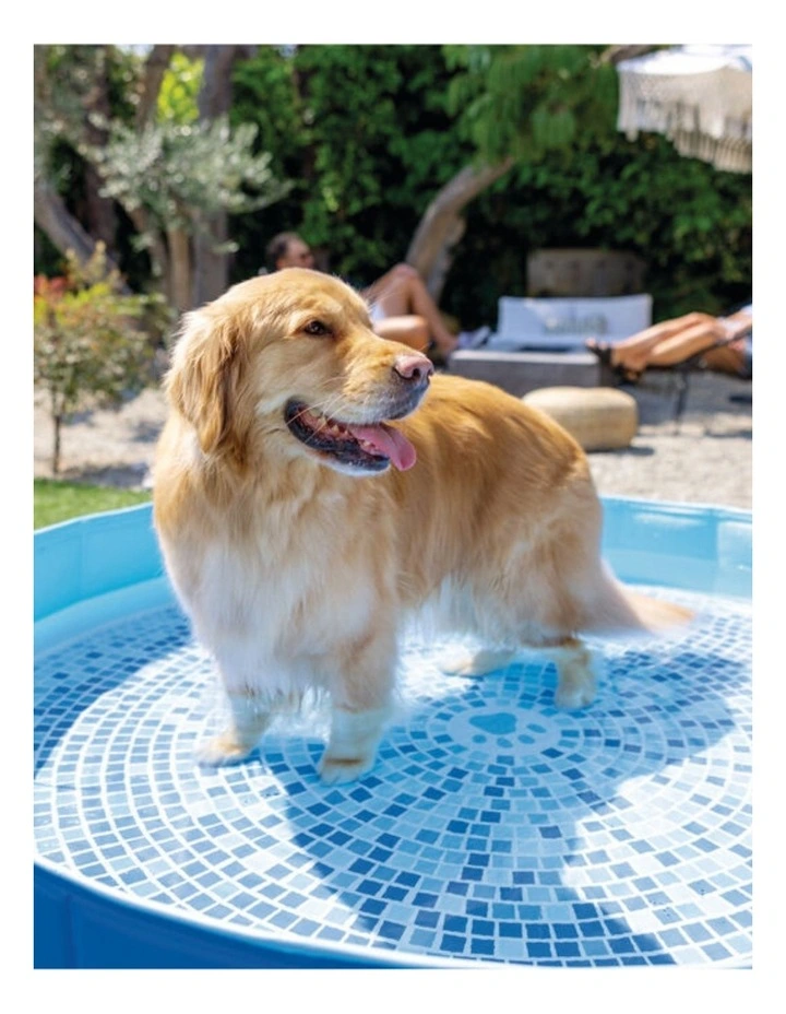 Intex Round Outdoor Pet Pool Foldable Portable Durable Fabric Blue 3y image 7